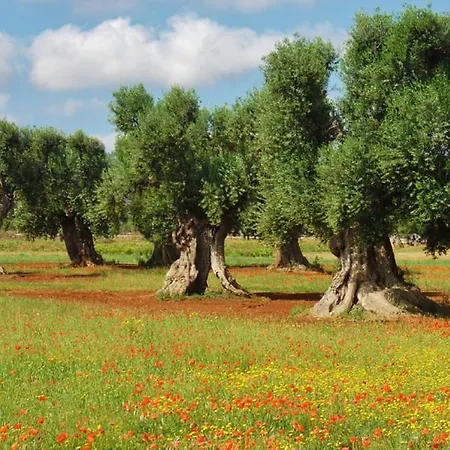 Lamia Dell'Attore * Ostuni